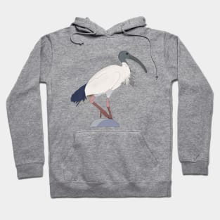 Ibis Bin Bird Hoodie